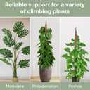 2 Pack 63'' Bendable Moss Pole Monstera Plant Support for Large Climbing Indoor Plants - Stakes for Potted Climbers - Tall Sticks Indoor Trellis for Houseplants - Accessories for Monstera Pot