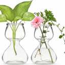 Garden Guru Plant Propagation Stations - Clear Glass Bud Vases Set of 2 - Mini Vases for Wedding Centerpieces, Cafe Dcor, Tea Shop Displays - Small Hydroponic & Flower Vase