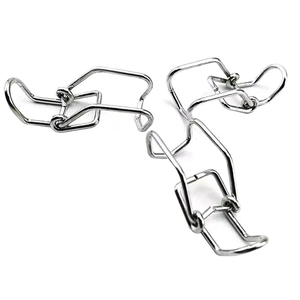 Clips