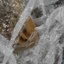 Gazebo Privacy Curtains 10' x 12' with PVC Windows, 4-Panels Side Wall with Zipper Universal Replacement for Patio, Outdoor Canopy, Garden and Backyard (Khaki)