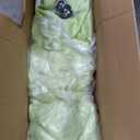 Clothing Store Fitting Room with Shading Curtain, Portable Temporary Mobile Privacy Protection Dressing Room, Foldable Mall Simple Changing Room for Office Outdoor Activity, 200x100x95cm(Green)