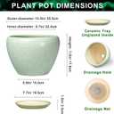 10 Inch Planter - Ceramic Plant Pots for Indoor Outdoor Plants, Indoor Pots for Plants with Drainage Hole and Saucer, Round Planter, Room Decor, Gifts for Plant Lovers, Crackle Light Green