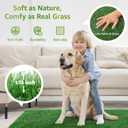 LOOBANI Dog Grass Pee Pads, 2 Pack Artificial Grass Pads for Potty Tray, Fake Grass for Dogs to Pee On, Outdoor Indoor Pee Grass for Dog Potty (18*23 inch)