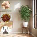 3-Pack Wood Plant Stands Indoor, Single Plant Stand for 6-12 Inch Pots, Mid-Century Modern Plant Stool, Tall Plant Stand for Large Plants Perfect Fit for Living Room, Balcony, Office