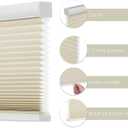 Changshade Cordless Cellular Shades, Light Filtering Honeycomb Blinds for Indoor Windows Bedroom, Pull Down Pleated Accordion Blind Easy Install, Shade Size 54" Wx72 H, Beige