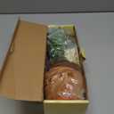 MILEGI Dancing Talking Cactus Toy, Baby Singing Recording Mimicking Cactus Toy, Repeats What You Say, Musical Interactive Infant Toddler Toys for 1 Year Old Boys Girls