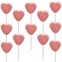 Fruidles 24-Count Pink Double Heart Lollipops, Double Heart Shaped Flavored, Individually Wrapped 18 Gram Lollipop (EXP 06/08/27)