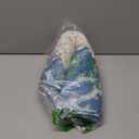 Beach Door Mat - Beach Coastal Outdoor Welcome Door Mat, Nautical Door Mats, Beach House Decor, Coastal Ocean Bathroom Decor, Coastal Outdoor Decor, Blue Door Mats, 17x30 Inch (Sea Star Coral)