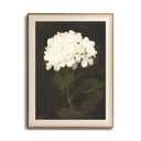 KISSFOX Framed Wall Art Vintage Wall Decor Hydrangea Canvas Art Flowers Pictures Botanical Paintings Dark Moody Artwork For Living Room Bedroom Bathroom Kitchen 24x16