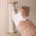 SHENGOCASE 2-Pack Cat Scratching Post for Crate Cage, Cage Mounted Scratching Post with Self Groomer and Massager, Cat Kennel Playpen Accessories