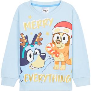 Bluey Ugly Christmas Sweater Kids, Toddlers Crew Neck Long Sleeve Christmas Sweatshirt Sweater Pullover, Gifts for Girls (2-3T)