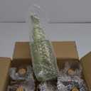 Assorted Green Glass Bottles with Corks, 6 Pack, 2.5in X 9in, 16oz