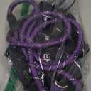 Haapaw Essential Dog Harness, No Pull Pet Vest with 3 Leash Clips, No Choke, Reflective, Adjustable and Padded, for Easy Walking and Training for Medium Dogs(M, Purple)