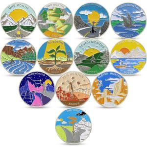 12Pcs Sobriety Coin Monthly Milestone, 1-12 Months Sobriety Chip Set, AA Chips and Medallions Sobriety Gifts for Men Women Alcoholics Anonymous Gifts(Set of 12)