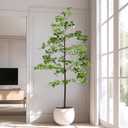 Erimda Faux Black Olive Tree 6ft, Faux Plants Indoor Large Tall Tree Artificial Shady Lady Tree with Natural Wood Trunk & Realistic Leaves, Fake Olive Plant for Home Office Indoor Decor