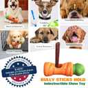 KADTC XL 2-in-1 Durable Dog Bully Stick Holder & Indestructible Chew Toy for Aggressive Chewers, Bone Holder for Medium Large Dogs, Carrot-Shaped