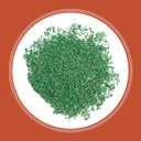 Pennington Bermudagrass Grass Seed 5 lb