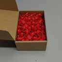 Cinnvoice 200 Pcs Mini Resin Red Cardinal Bird Figurines Tiny Cardinal Figurine Decor Small Miniature Ornaments Mini Birds to Hide for Spring Gift Garden Crafts Cake Topper Decoration