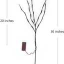 DK177 2 Pack Led Branch Light Battery Operated Lighted Branch Vase Filler Willow Tree Artificial Little Twig Power Brown 30 Inch 20 LED for Home Romantic Decoration, Warm White