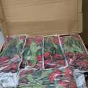 Nubry 100pcs Artificial Silk Roses Bulk,Fake Roses Flower with Stems Realistic Flowers for Wedding Centerpiece Home Party Decor(Burgundy)