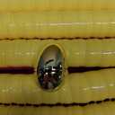 [12 Golden Eggs] 500 PCS 2.4" Fillable Plastic Easter Eggs Empty Easter Eggs Colorful Plastic Eggs Bulks for Kids Teens Boys Girls Easter Basket Stuffers Hunt Easter Party Favor