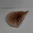 Mushroom Hat Costume Cosplay Accessory Party Hat Cap, Oversized with Wired Brim (Brown)
