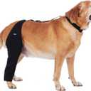Dog Recovery Sleeve Back Leg Waterproof Diving Material,Dog Leg Sleeve to Stop Licking and Biting Firm and Secure, Adjustable Size, 2.5mm Thick Comfortable Alternative to Cone Collars (Large)