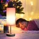 Table Lamp with USB Port - Desk Lamp Touch Lamp Bedside Lamps for Bedroom, 3 Way Dimmable Small Lamps for Living Room, Nightstand, Nursery, Dorm, Home, Office, White Base+ Pink Lampshade