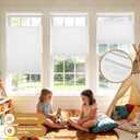 Grandekor Top Down Bottom Up Cellular Shades Cordless, Pull Down Honeycomb Blinds for Windows Room Darkening Blinds & Shades for Living Room Bedroom, Light Filtering, White, 35" Wx64 H