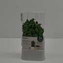 vacane Herb Keeper for Refrigerator, Fresh Herb Saver Herb Storage Containers, Cilantro Container for Fridge Asparagus Container, Dishwasher Safe