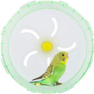 Bird Silent Wheel Toy Parrot Exercise Wheel Parrot Intelligence Toy Quiet Spinner Running Wheel for Bird Parrot Small Animal (Green)