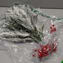 Kesywale Set of 40 Artificial Norfolk Pine Branches with Red Berry 12.8" Christmas Greenery Picks Fake Norfolk Pine Stems Tree Needle Sprigs for Vase Filler DIY Craft Garland Home Decorations (Frost)