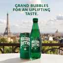 Maison Perrier Ultimate Sparkling Water, 16.9 Fl Oz Plastic Water Bottles, 6 Count 101.406 fl oz