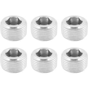 Internal Hex Thread Socket Pipe Plug Fitting,TTZEZE 304 Stainless Steel 1''NPT Male Countersunk Plug 6 PCS