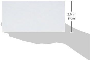 Mead No.6 3/4 Security Envelopes, 80 Count (75212)