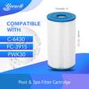 6430 Pool Filter Cartridge Replacement 2 Pack
