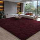 EVOIONOS 6x9 Washable Large Area Rug for Living Room, Fluffy Shag Rug Bedroom, Ultra Soft Plush Non Slip Carpet Indoor Floor Bedside Nursery Kids Girls Room Dorm, Home Decor Aesthetic, Midnight Red