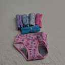 Hanes Girls' Hanes Toddler Girls' Potty Trainer Briefs, 6-Pack 2T-3T