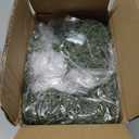 Cedar Christmas Garland with Lights for Mantle - Decorations 6 ft Realistic Lighted Faux Pine Garlands for Xmas Home Decoration Indoor Stairs Railing Fireplace Outdoor 6ft Prelit Garland Door Decor