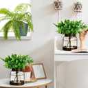 2 Set Vintage Glass Vase Rustic Farmhouse Lantern Decor with Artificial Plants Lights Decorative Clear Vase for Home Decor Floral Arrangement Dining Table Centerpieces(Eucalyptus Leaf)