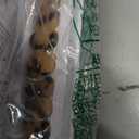 Heesch Blonde Tortoise Band Compatible with Apple Watch Stretchy Band for Woman 38mm 41mm Fashion Resin Strap for iWatch 7, SE, 6, 5, 4 40mm Wristband