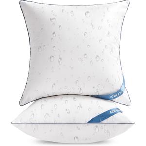 Atarashi 20 x 20 Outdoor Pillow Inserts(Set of 2) - Waterproof Decorative Square Throw Pillows for Couch Sofa Bed Patio Furniture, Garden & Patio, White 20x20 inch