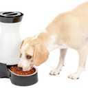 PetSafe Healthy Pet Food Station - Automatic Indoor Gravity Cat & Dog Feeder - Space-Saving Self Feeder - Easy to Clean - Medium - Up to 4 lb Kibble Capacity