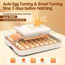 Egg Incubator 56 Eggs Incubators for Hatching Eggs with Auto Egg Turner for Chicken Duck Goose Eggs