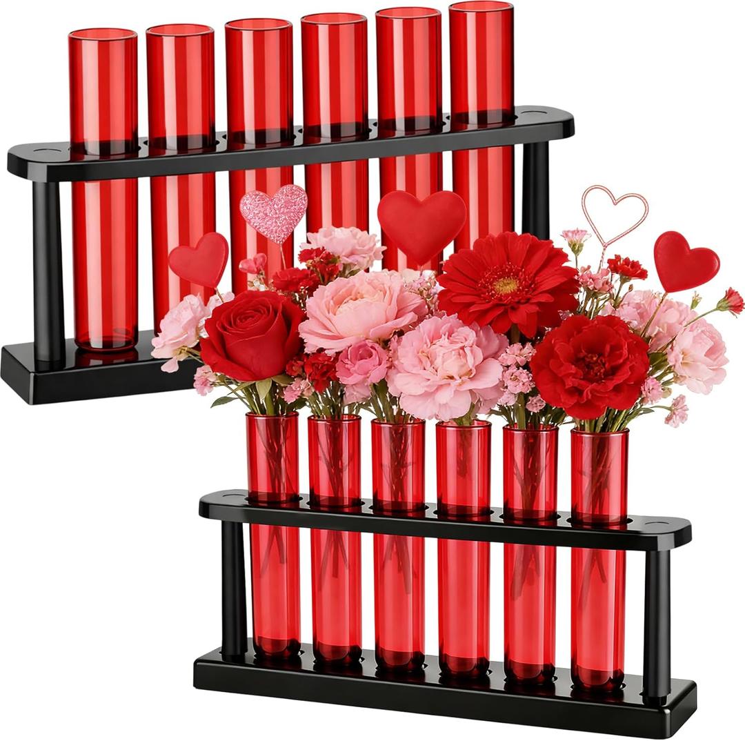 Meanplan 12 Pcs Valentine's Day Plant Terrarium with Holder Rack Clear Red Plant Propagation Station Test Tube Vases for Valentines Table Home Office Kitchen Party Decorations Planter Lover Gift