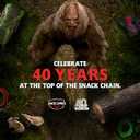 Jack Link's Beef Jerky, Original, Multipack Bags  Flavorful Meat Snacks for Lunches, Ready to Eat Protein Snacks, Individual Packs - 7g of Protein, Made with 100% Beef  0.625 Oz (Pack of 5)