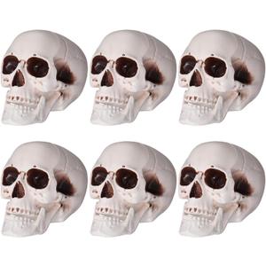 Sratte 6 Pcs Halloween Human Skull Model Adult Plastic Skull Decor Fake Head Decorations Realistic Head Bone Model Human Skeleton Statue (8 Inch)