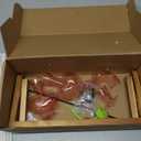 XXXFLOWER Plant Terrarium Propagation Stations Unique Gifts for Women Wife Mom Plant Lovers 3 Heart Shaped Vases for Hydroponics Home Garden Office Decor(Plants NOT Included)