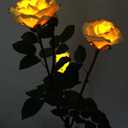 Solar-Powered Yellow Silk Rose Light Strings, 2-Pack, 16in
