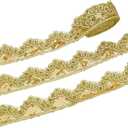 FINGERINSPIRE 10 Yards Gold Beaded Lace Trim Sequinned Ribbon 1.8inch Polyester Sequin Ribbon Sewing Lace Mesh Trim Decoration for Crafts Clothing Home Decor